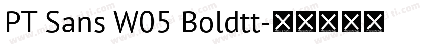 PT Sans W05 Boldtt字体转换